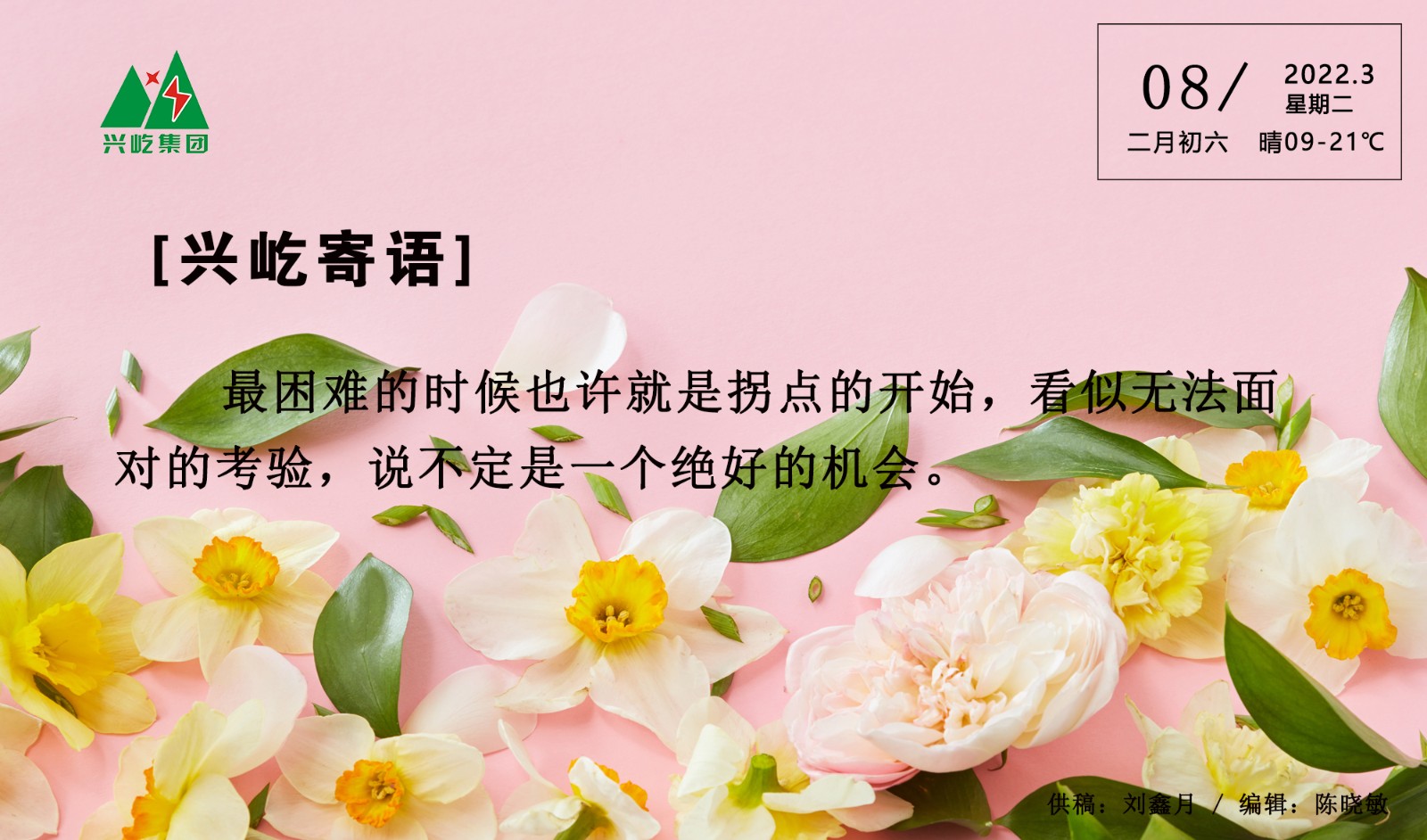 ����� -jinnianhui | jinnian