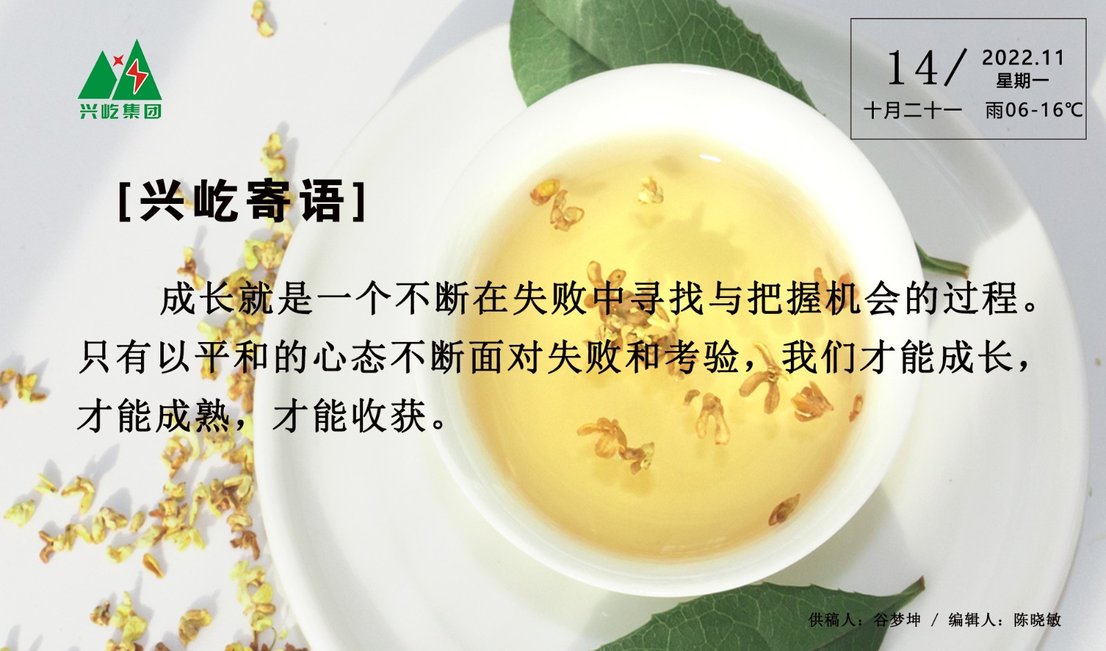 ����� -jinnianhui | jinnian